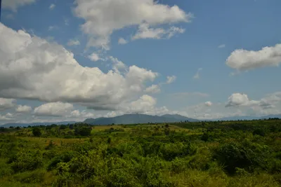 DSC_4394 (Large).JPG